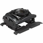Main