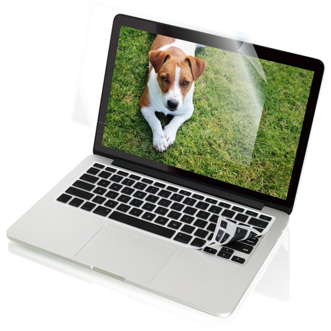 Main