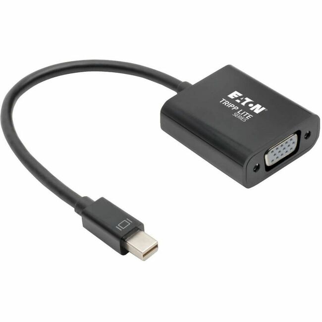 Main