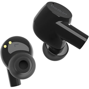 Main